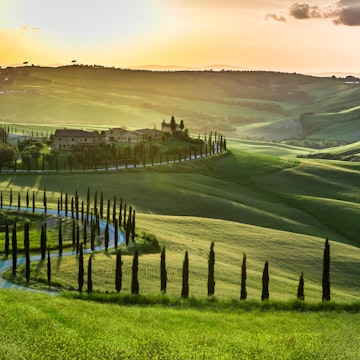 Sunset over a winding road with cypresses in Tuscany.
